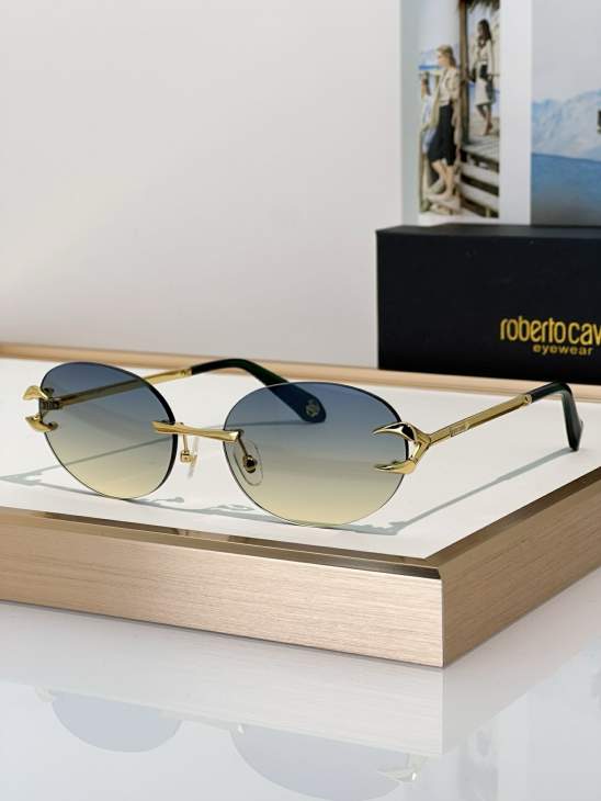 Picture of Roberto Cavalli Sunglasses _SKUfw79280028fw